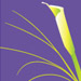Click Here for Gezell Logo